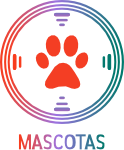 Home mascotas 1